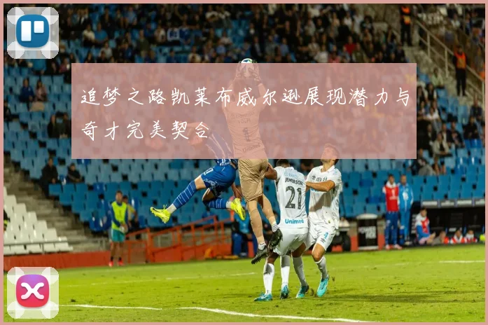 追梦之路凯莱布威尔逊展现潜力与奇才完美契合